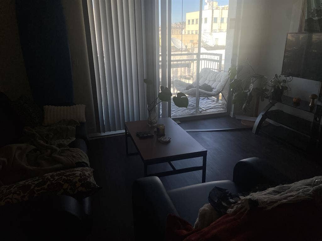 SpringSubLease(for Female)-give DM!