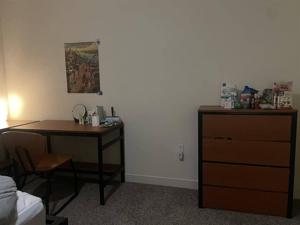 SpringSubLease(for Female)-give DM!