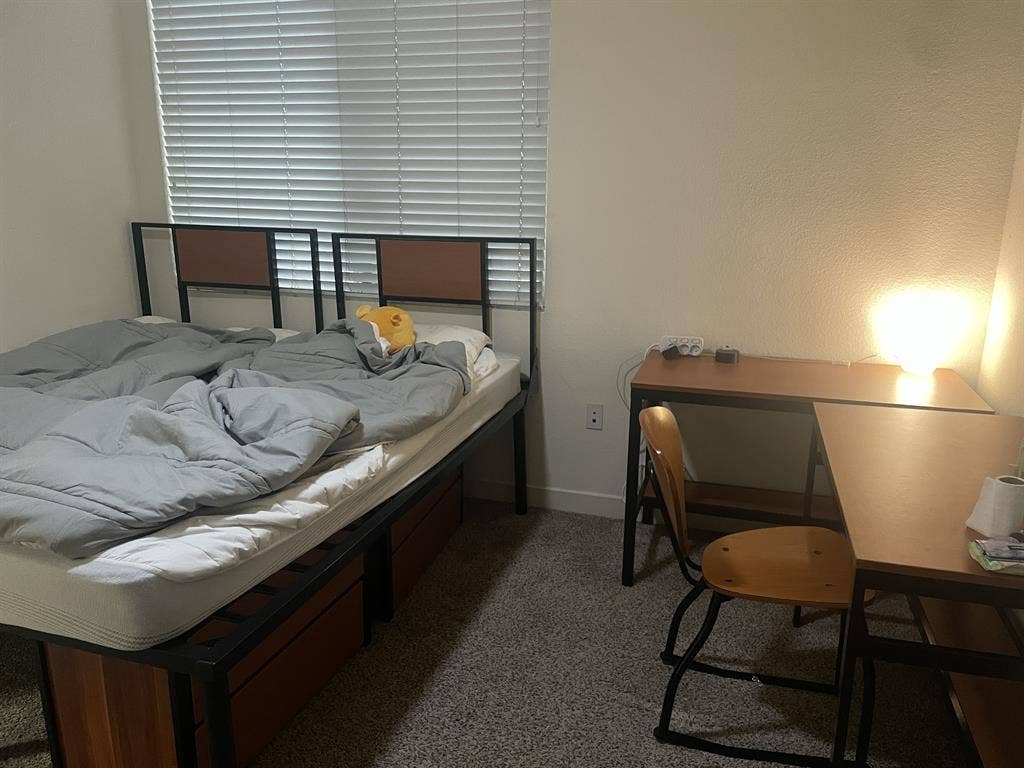 SpringSubLease(for Female)-give DM!