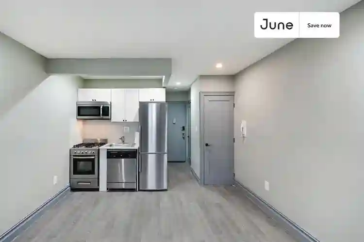 1 BR in New York City