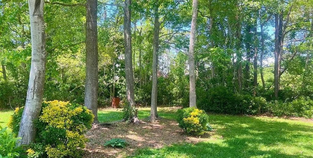 Room Available for Sublease ASAP