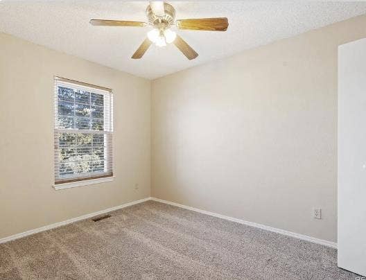 Looking for chill guy tenant