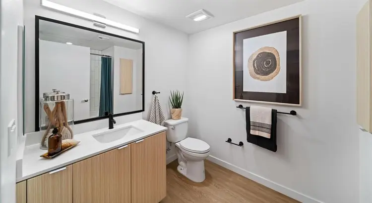 Private Bedroom/Bathroom in Apt