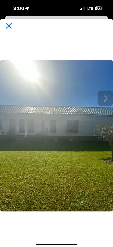 Female roommate wanted