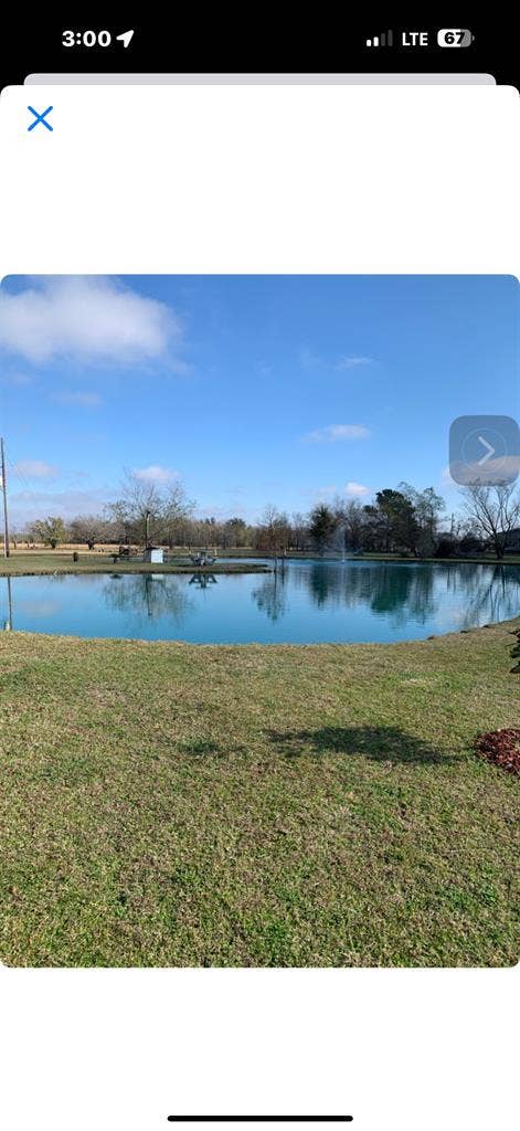 Female roommate wanted