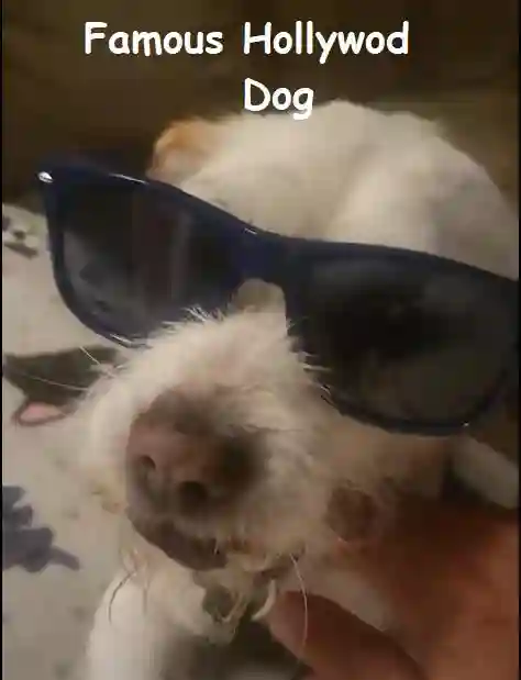 Large Room/Private Bath & Kitchen