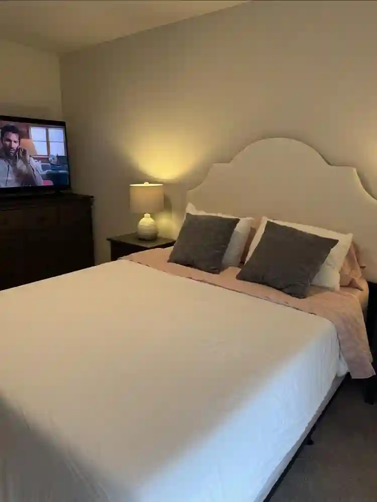 Brand new home, seeking F roommate