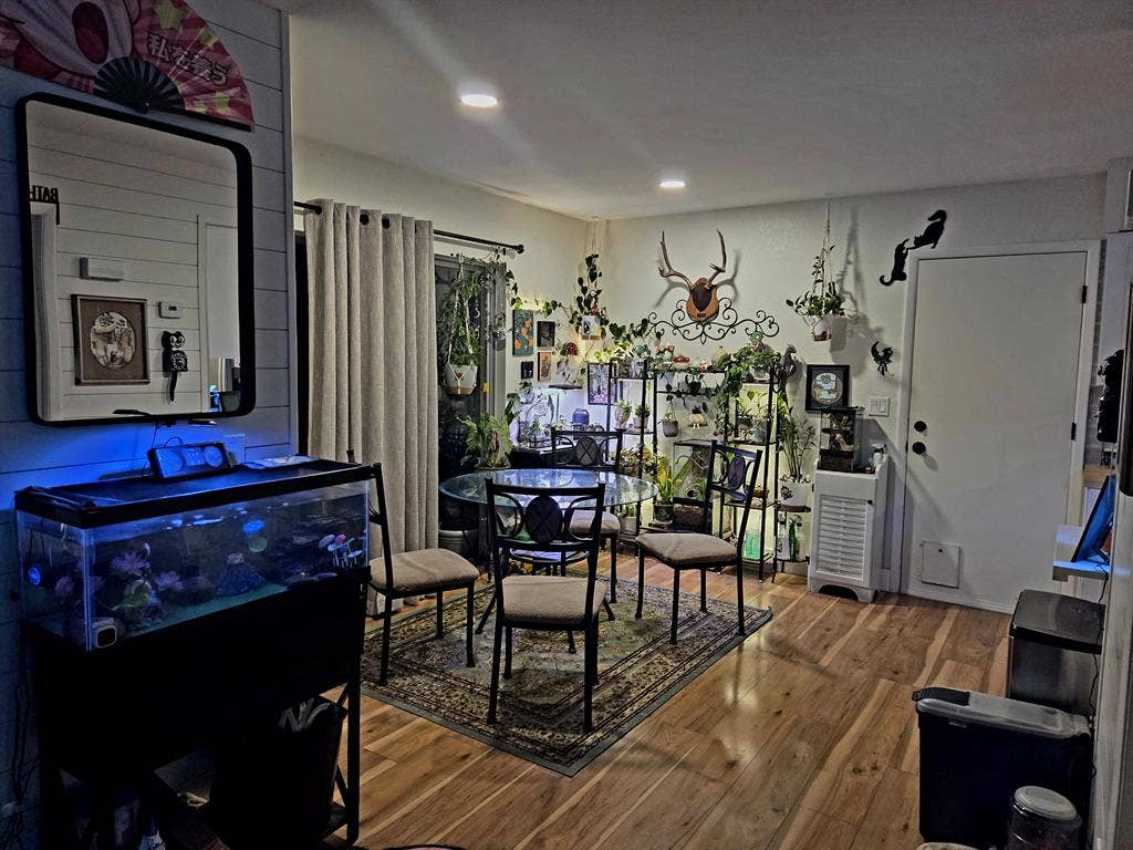 Room for Rent in Tempe