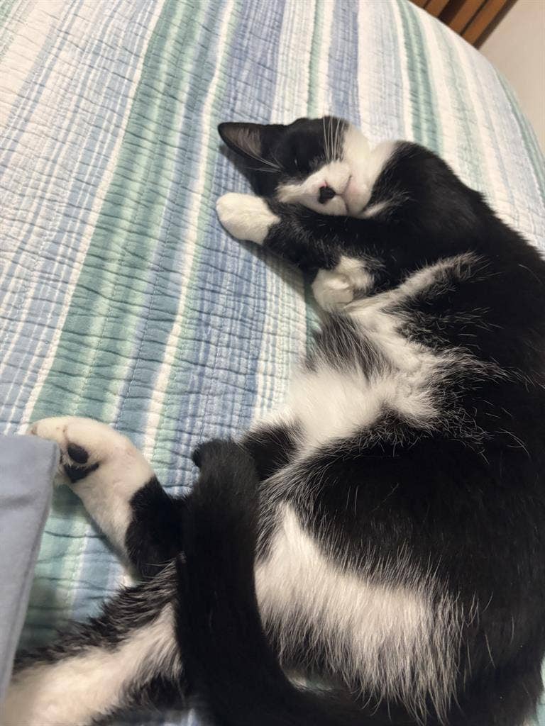 Room in RavenwoodTownhouse (Female)