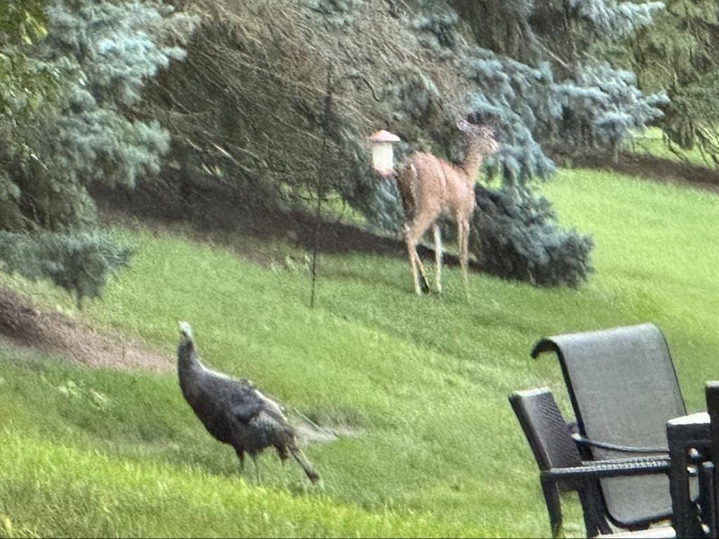 Luxury Private Bedroom and bathroom