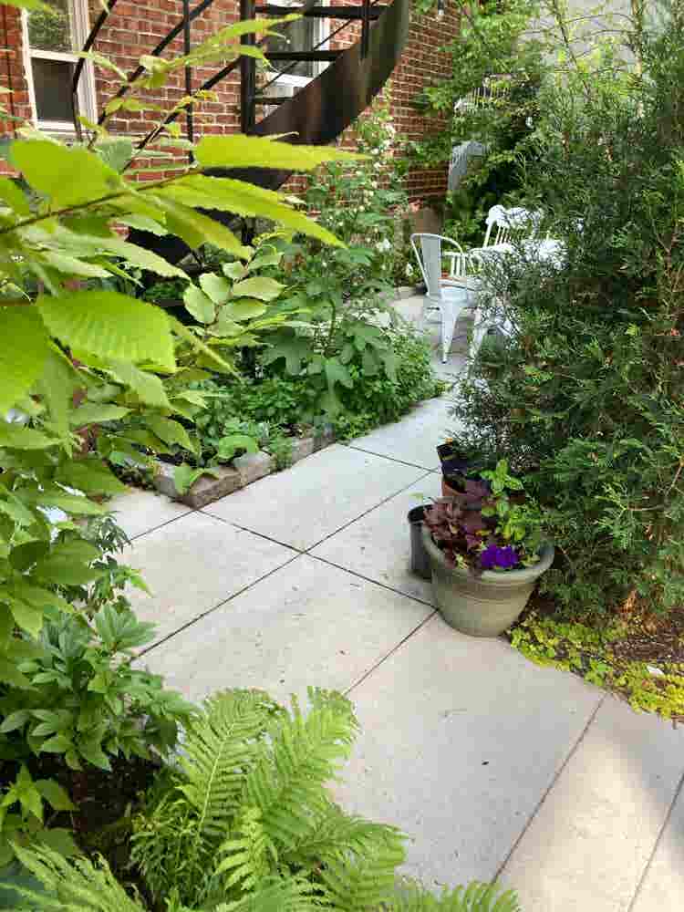 Plateau gem  - super home base