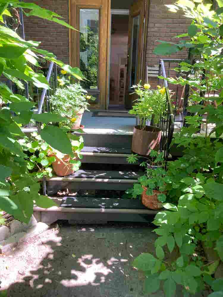 Plateau gem  - super home base