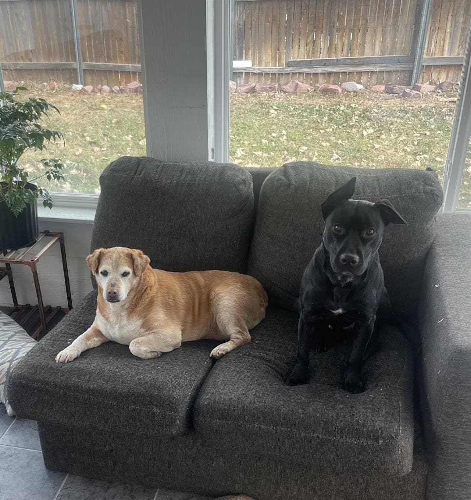 Seeking roommate near COS Airport