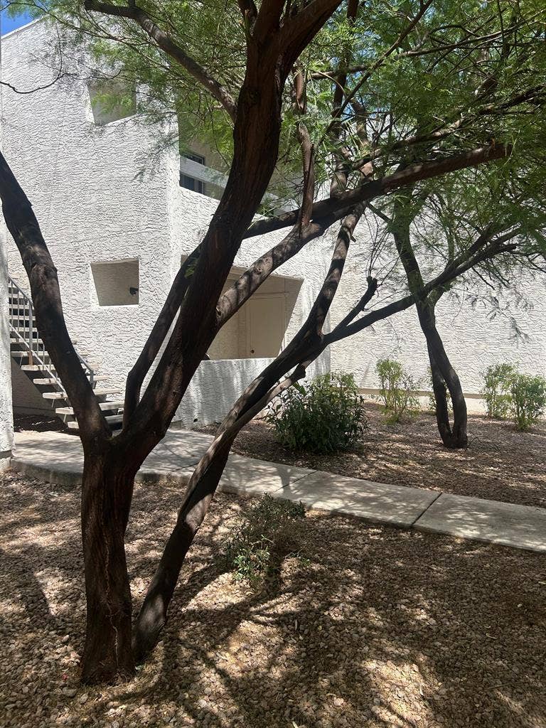2 BR in Phoenix