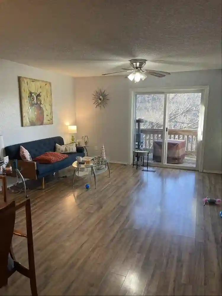 Looking for professional female