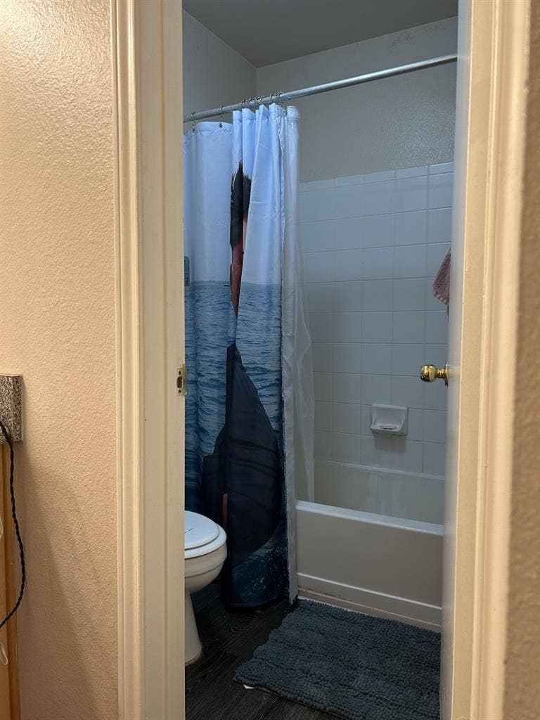 Female (or LGBTQ+) Tenant Wanted!