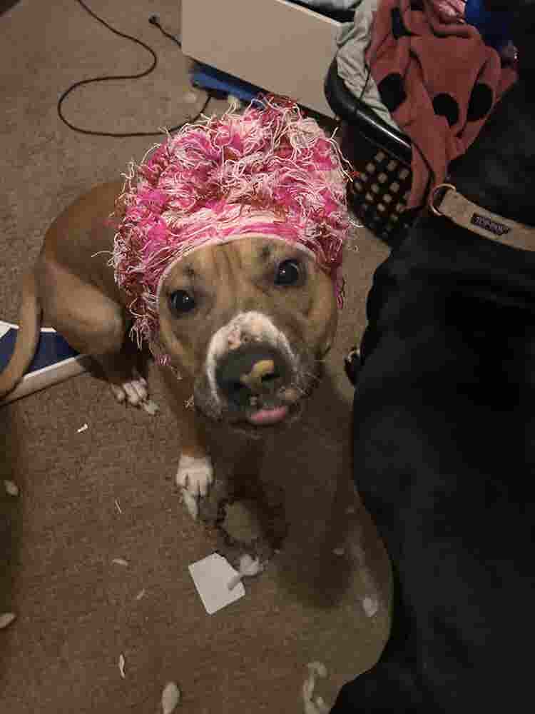 LGBTQ+ friendly home + Pure Energy