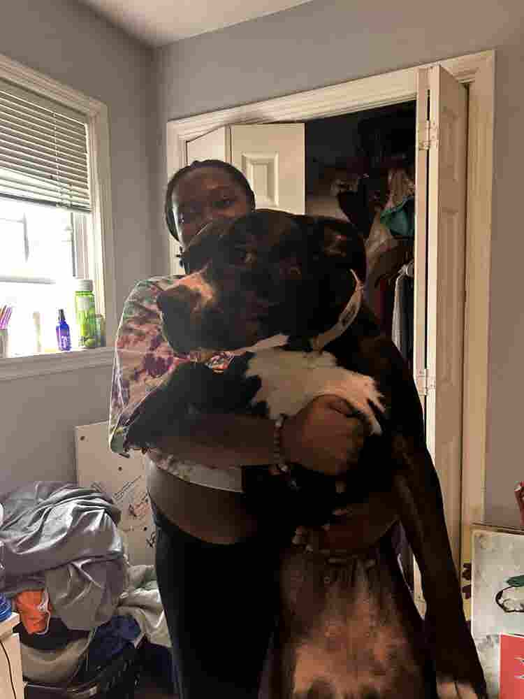 LGBTQ+ friendly home + Pure Energy