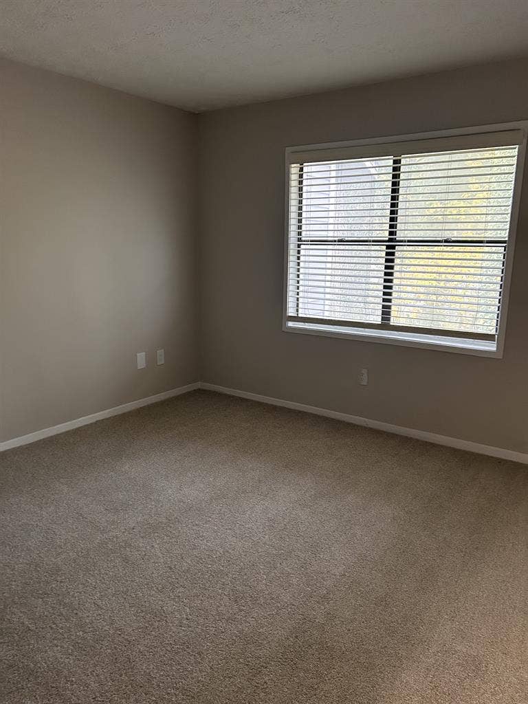 LGBTQ+ friendly home + Pure Energy