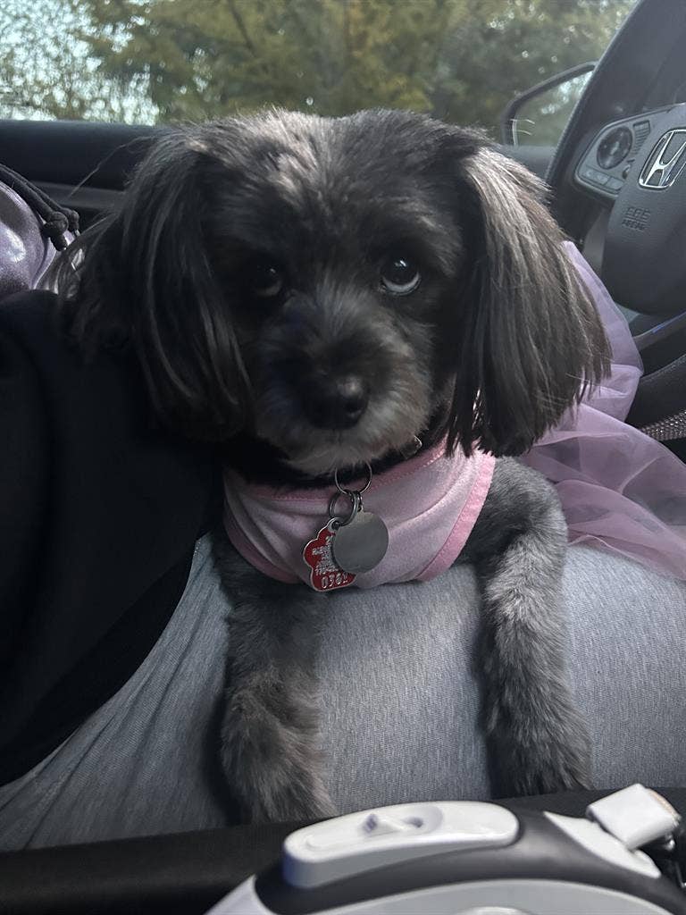 LGBTQ+ friendly home + Pure Energy