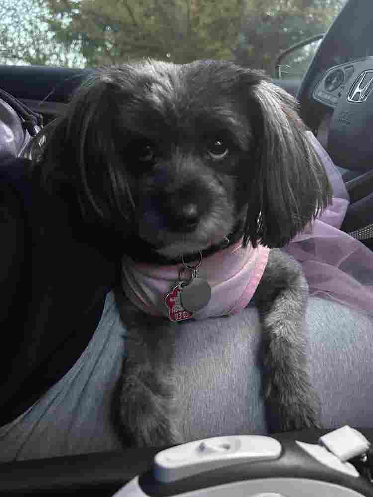 LGBTQ+ friendly home + Pure Energy