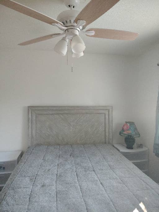 Senior Roommate Wanted