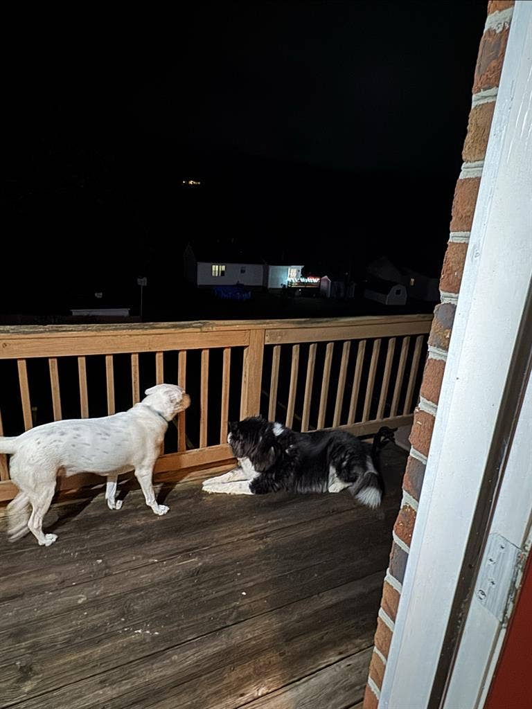 Looking for Roommate by Jan!