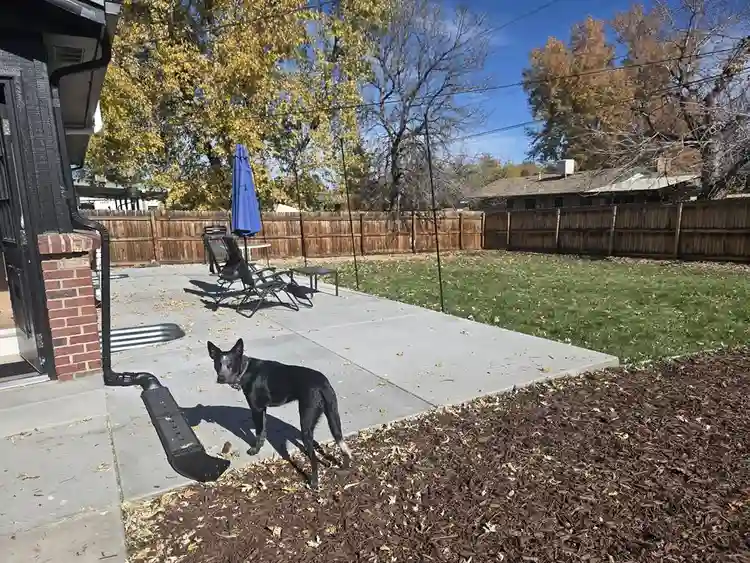 Private room in house Lakewood