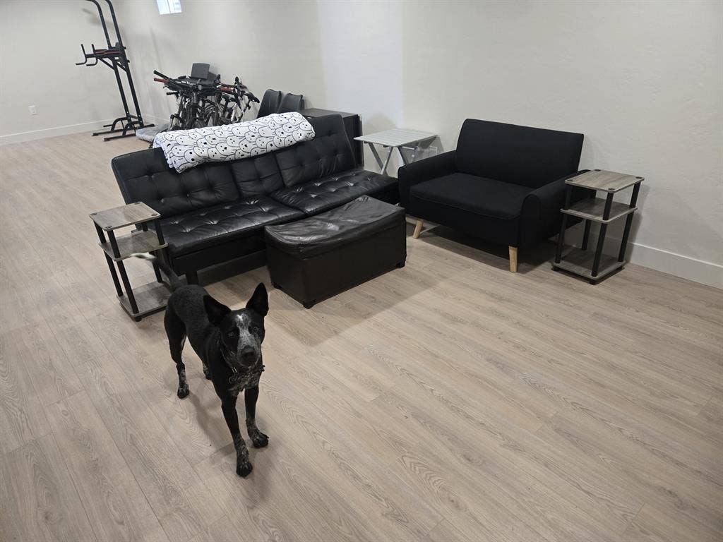 Private room in house Lakewood