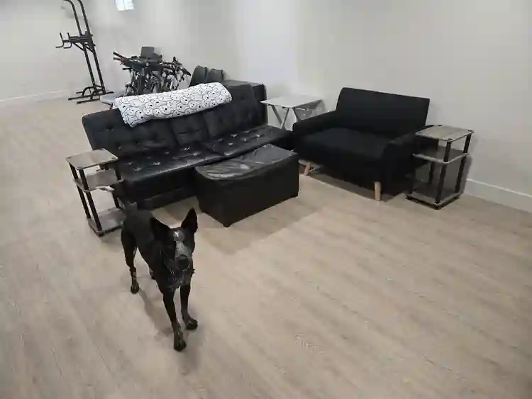 Private room in house Lakewood