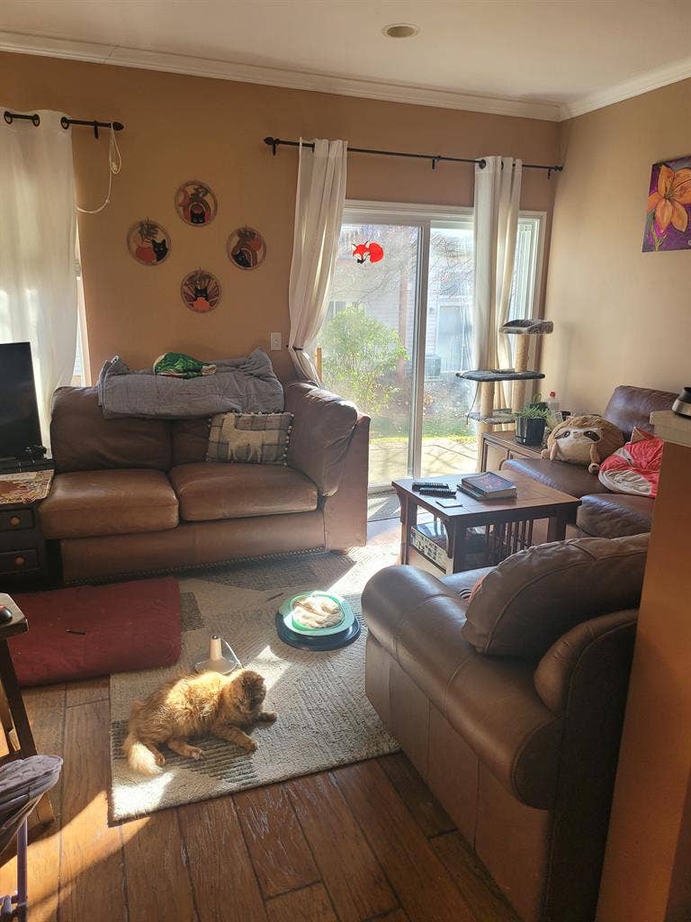 Shared house, 1 room for rent