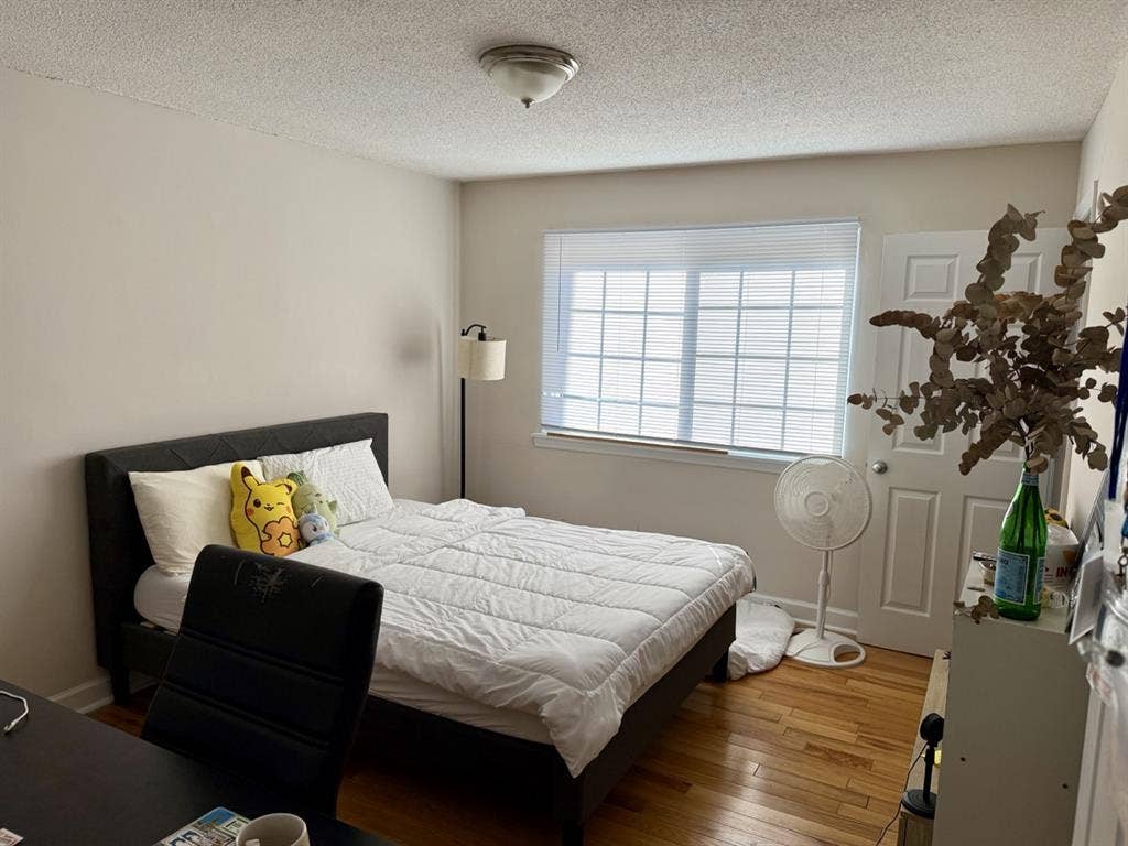 Looking for Roommate!