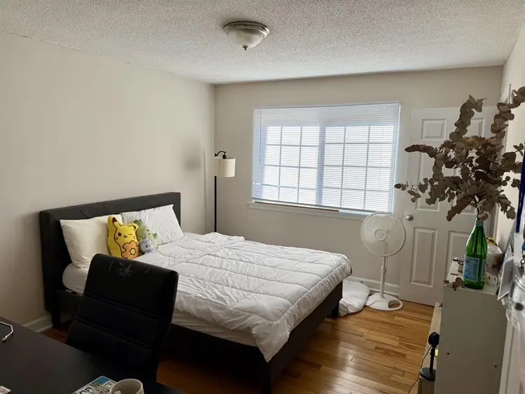 Looking for Roommate!