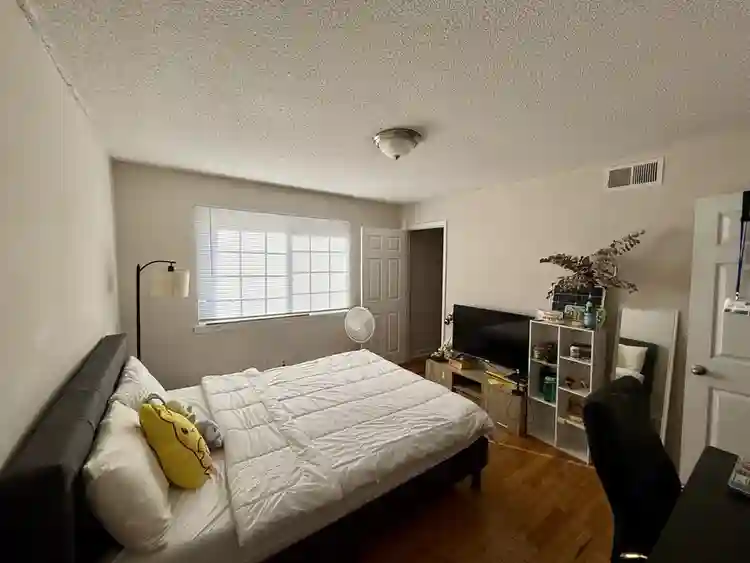 Looking for Roommate!