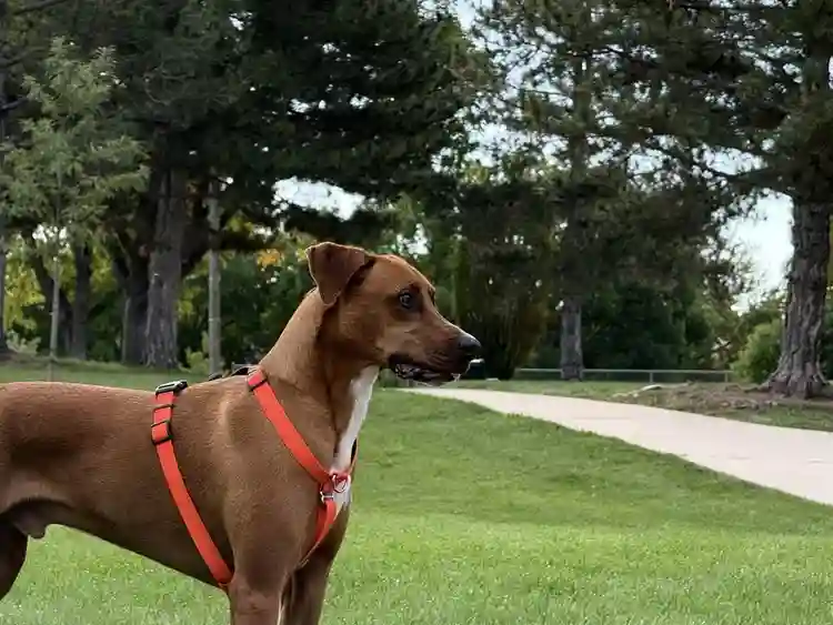 Comfortable 1 Bedroom Suite