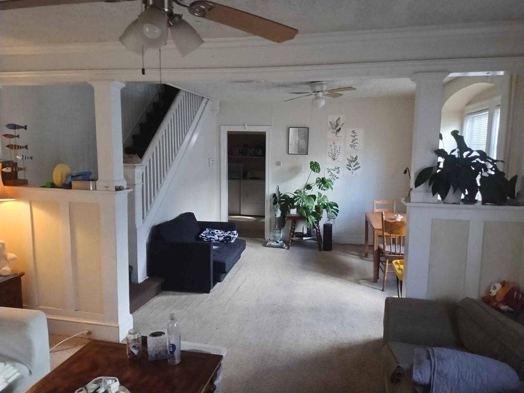 Main Line Queer Friendly& Amenities