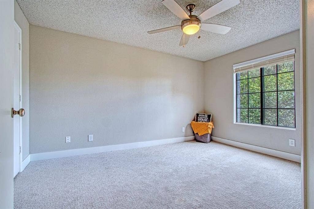 Looking for roommate!