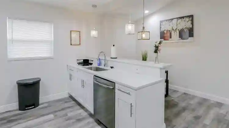 5 BR in Tampa