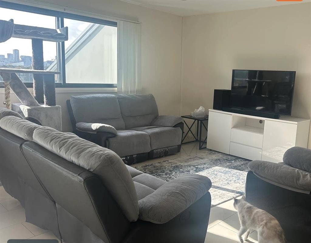 Room in a friendly house