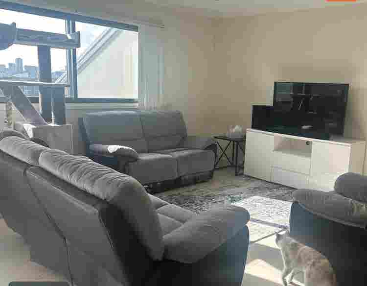 Room in a friendly house