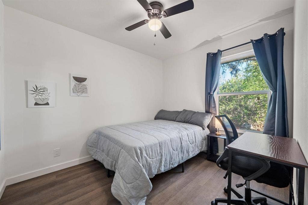 11 BR in Austin