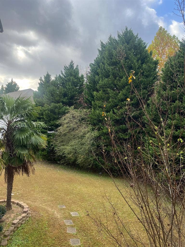 2 BR in Snellville