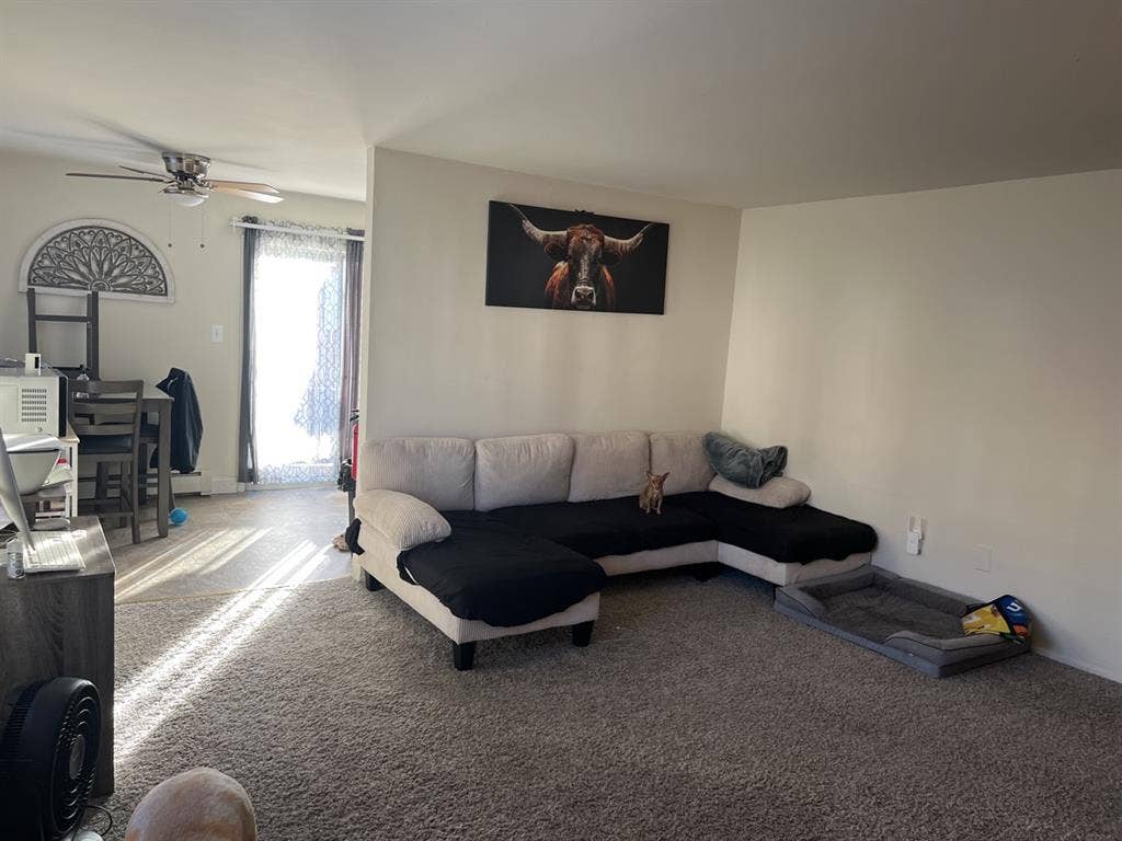 Looking for a Roommate