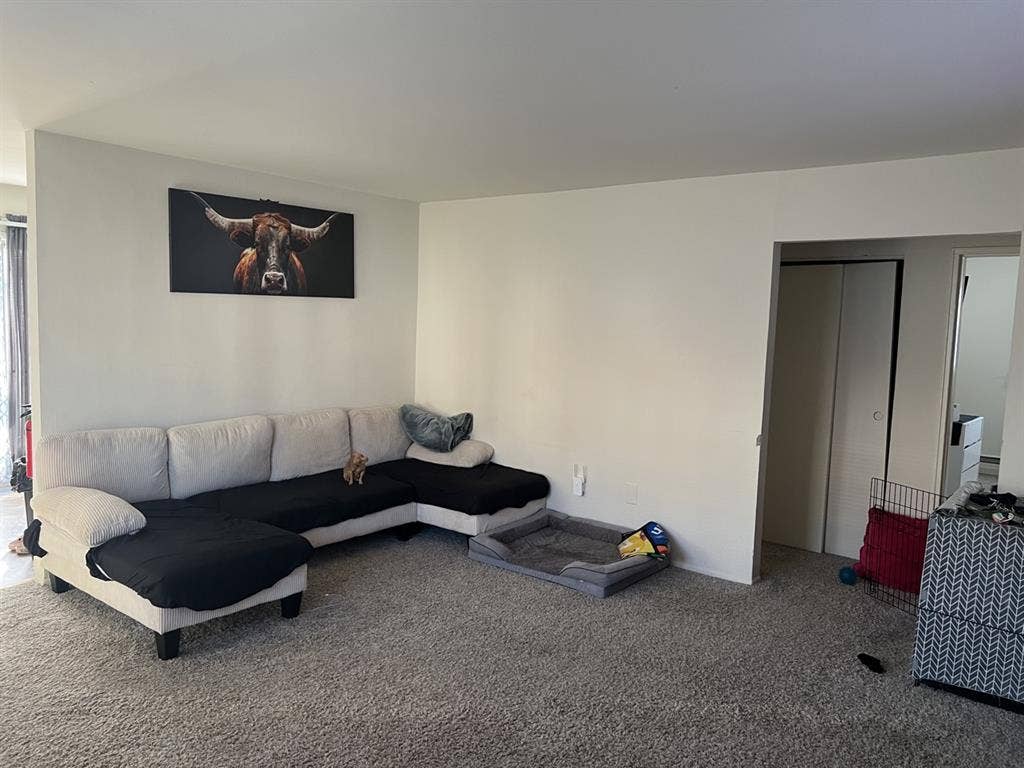 Looking for a Roommate