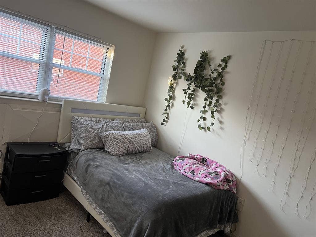 Looking for a Roommate