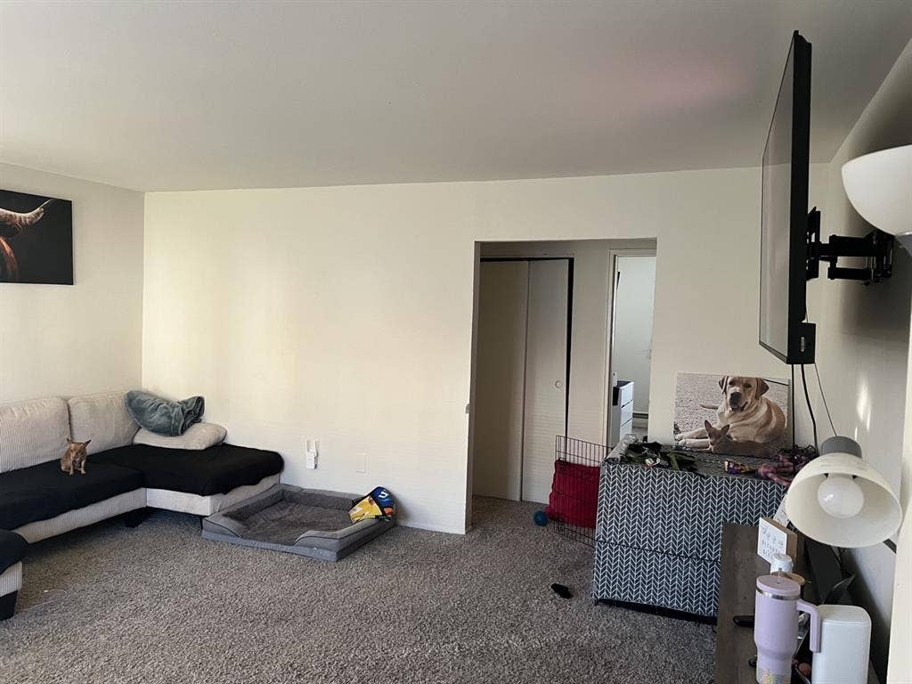 Looking for a Roommate