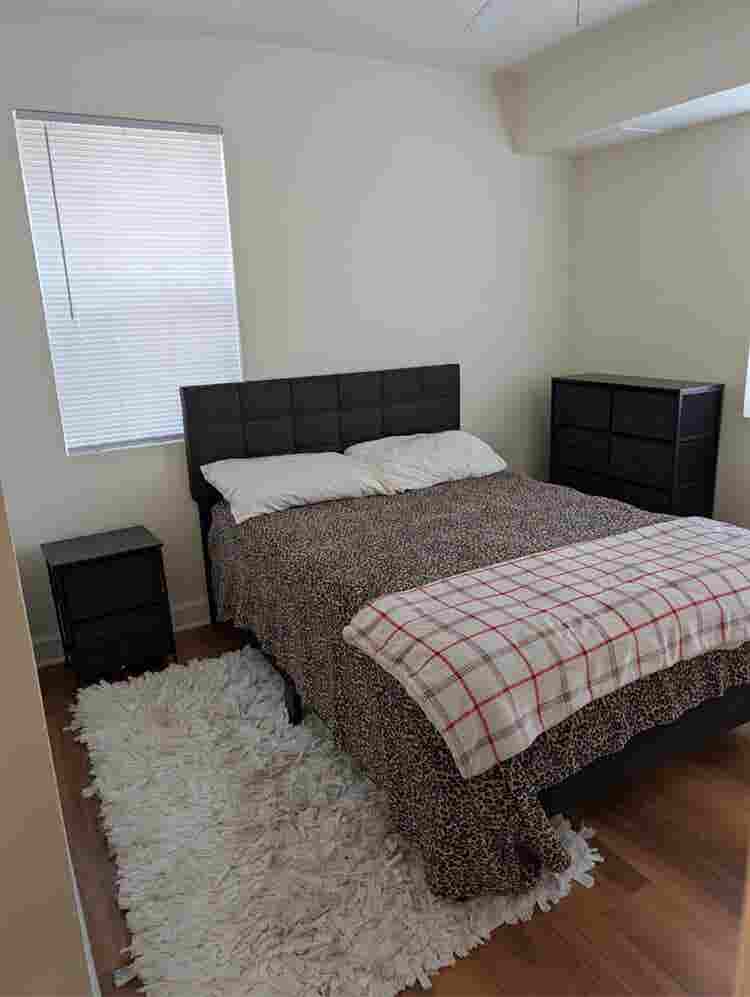 1 bedroom apartment in Alexandria