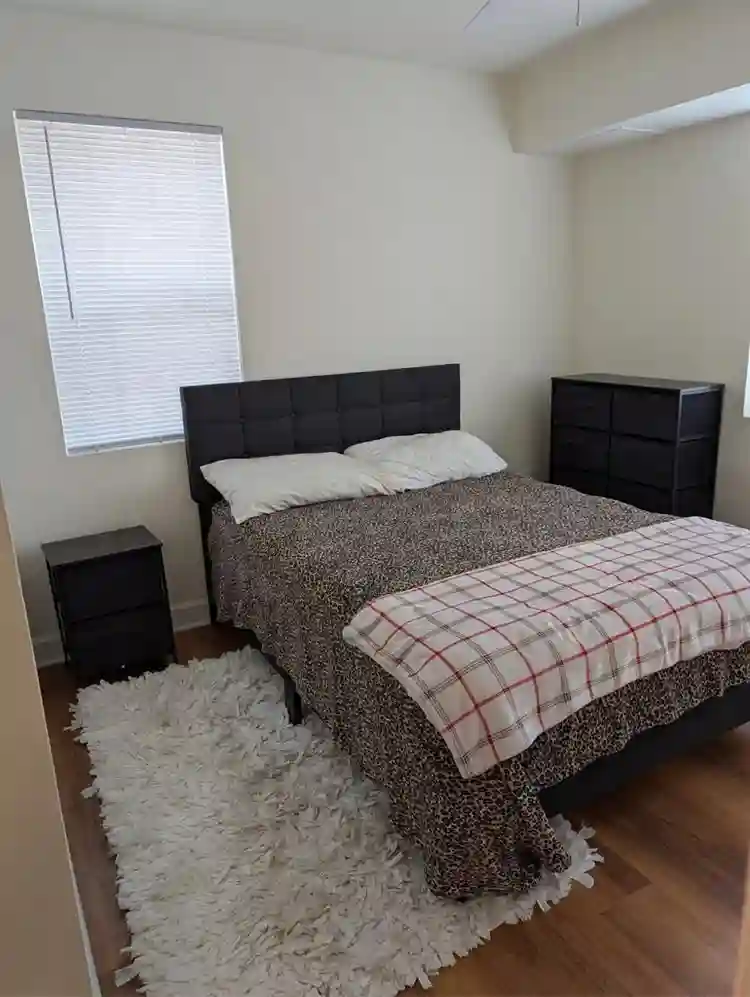 1 bedroom apartment in Alexandria