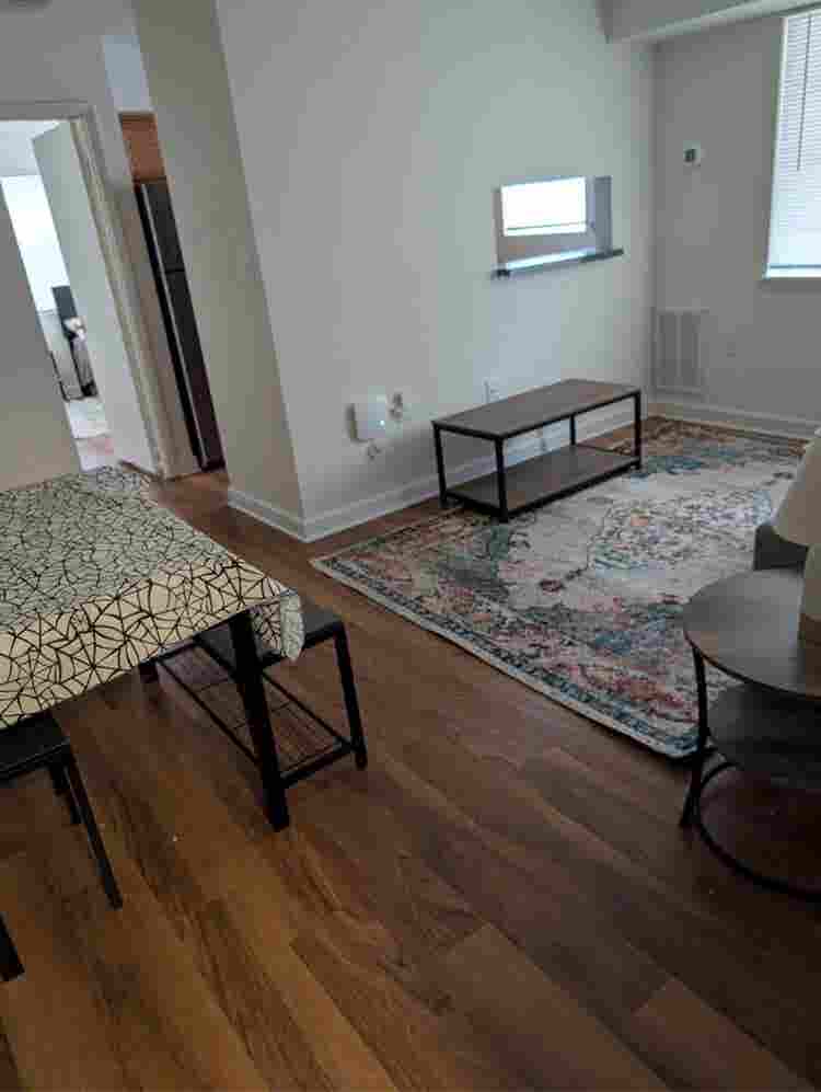 1 bedroom apartment in Alexandria