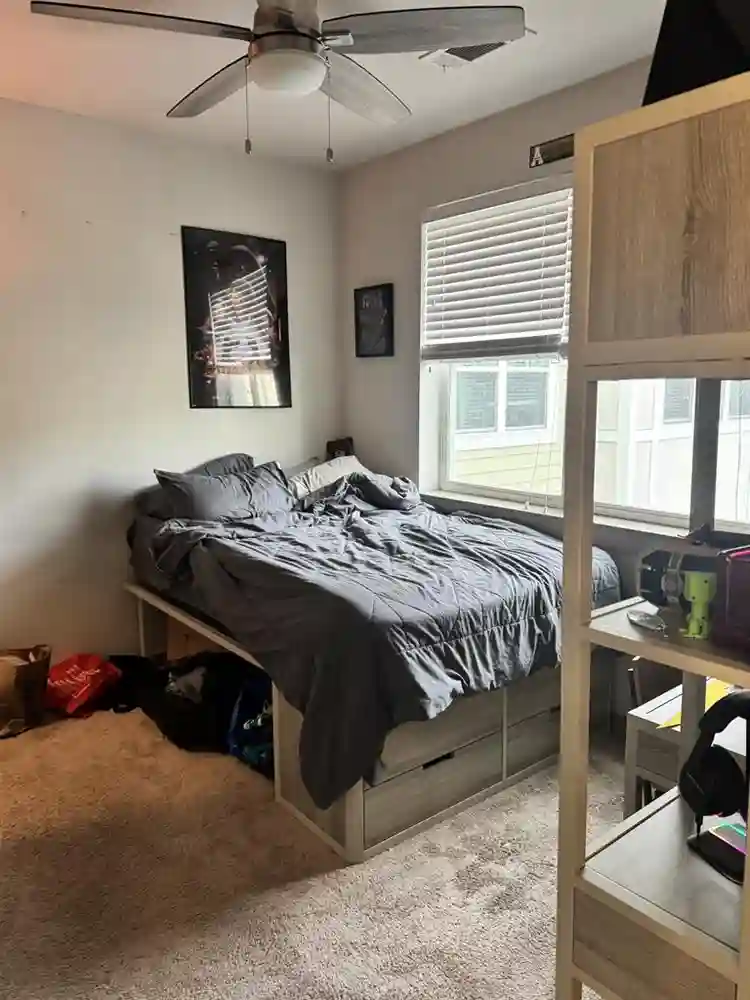 Male roommate for The Finmore